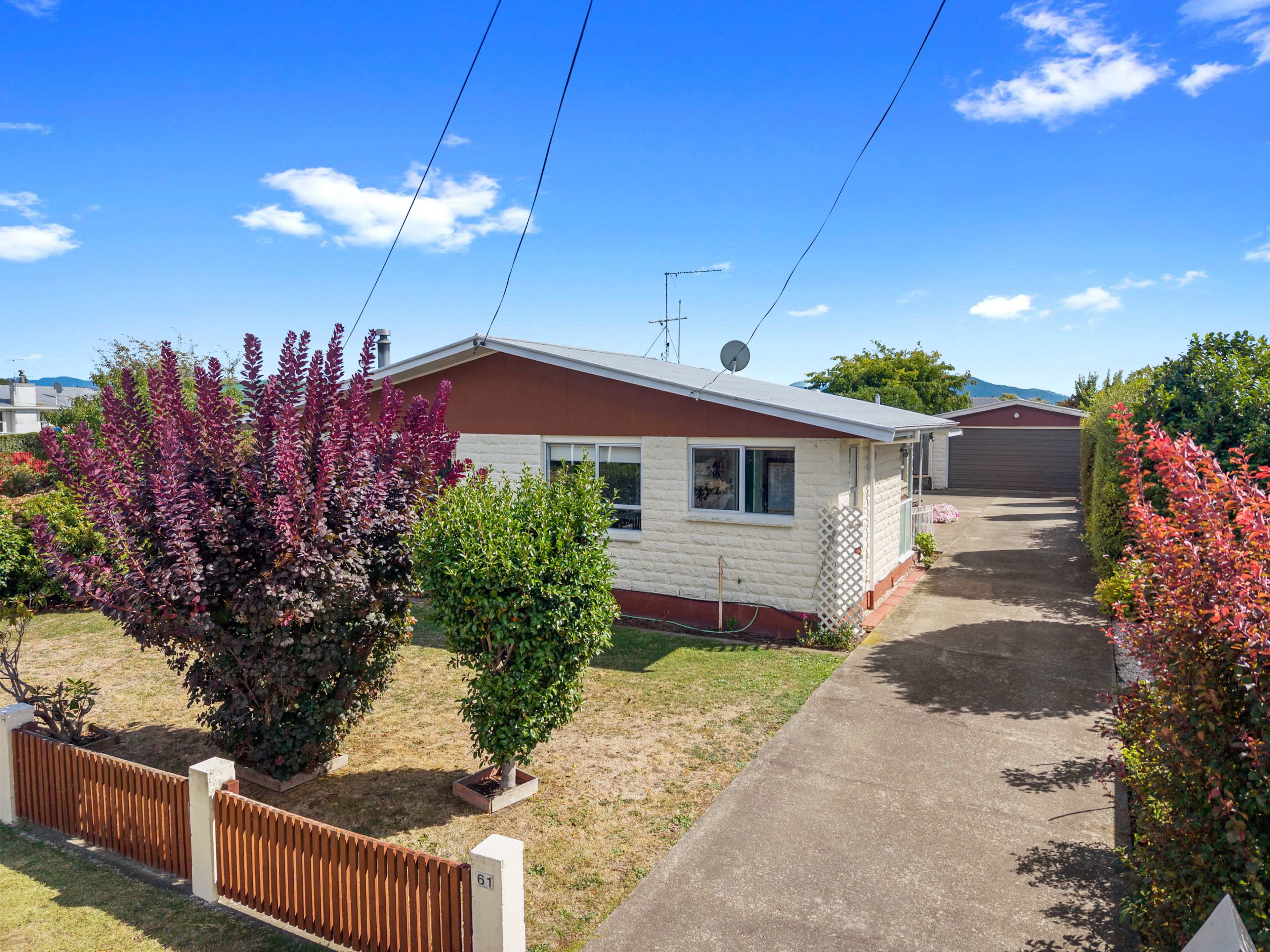 61 Wither Road, Witherlea, Marlborough | Tall Poppy