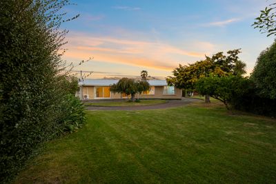 22A Gilbert Street, Witherlea, Marlborough | Tall Poppy 