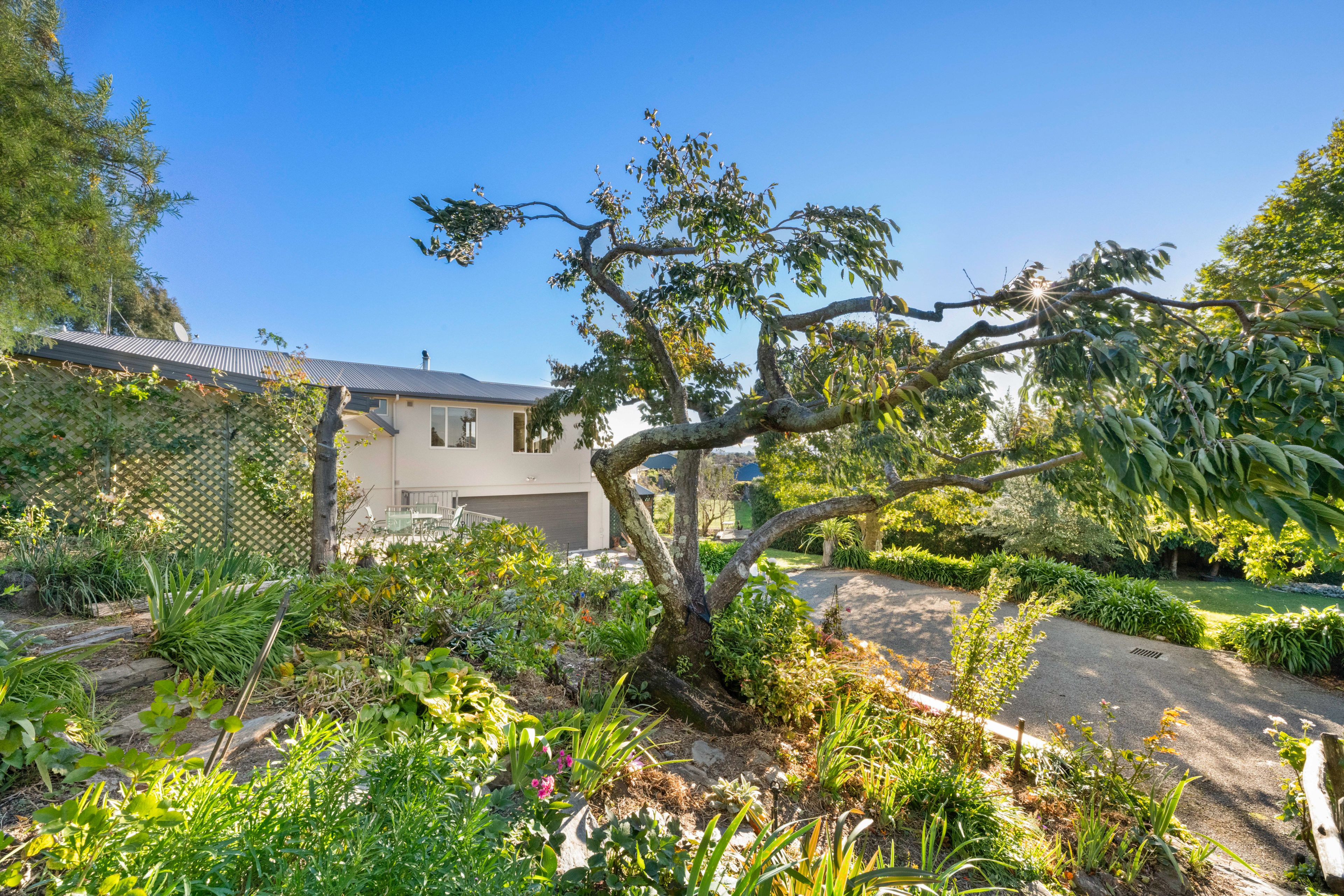 238 Howick Road, Witherlea, Blenheim, Marlborough | Tall Poppy