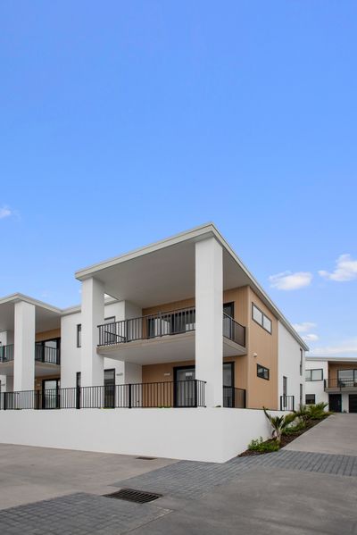 7 Memorial Way, Tauranga, Bay of Plenty | Tall Poppy 