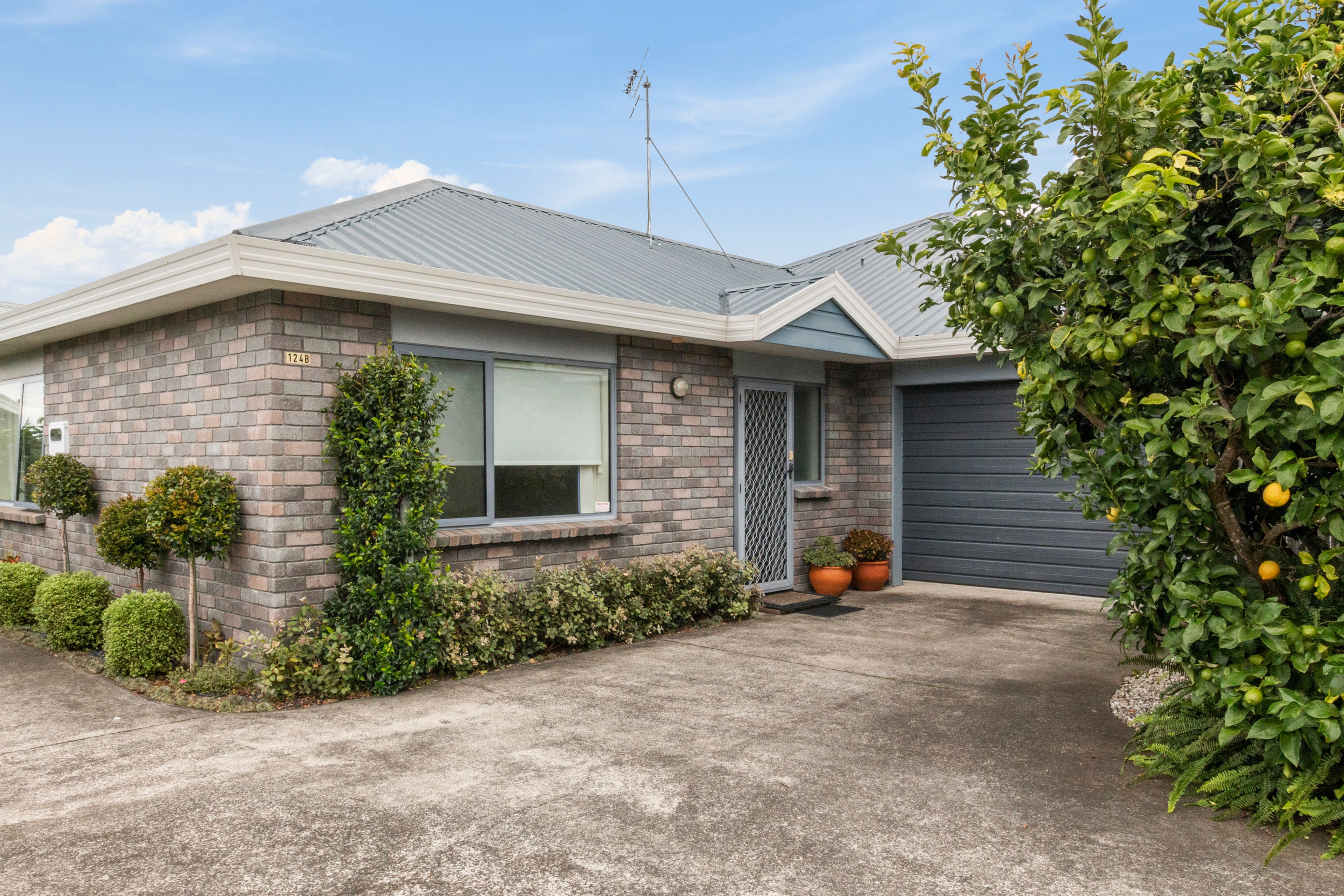 124B Wills Road, Katikati, Western Bay Of Plenty, Bay of Plenty | Tall Poppy