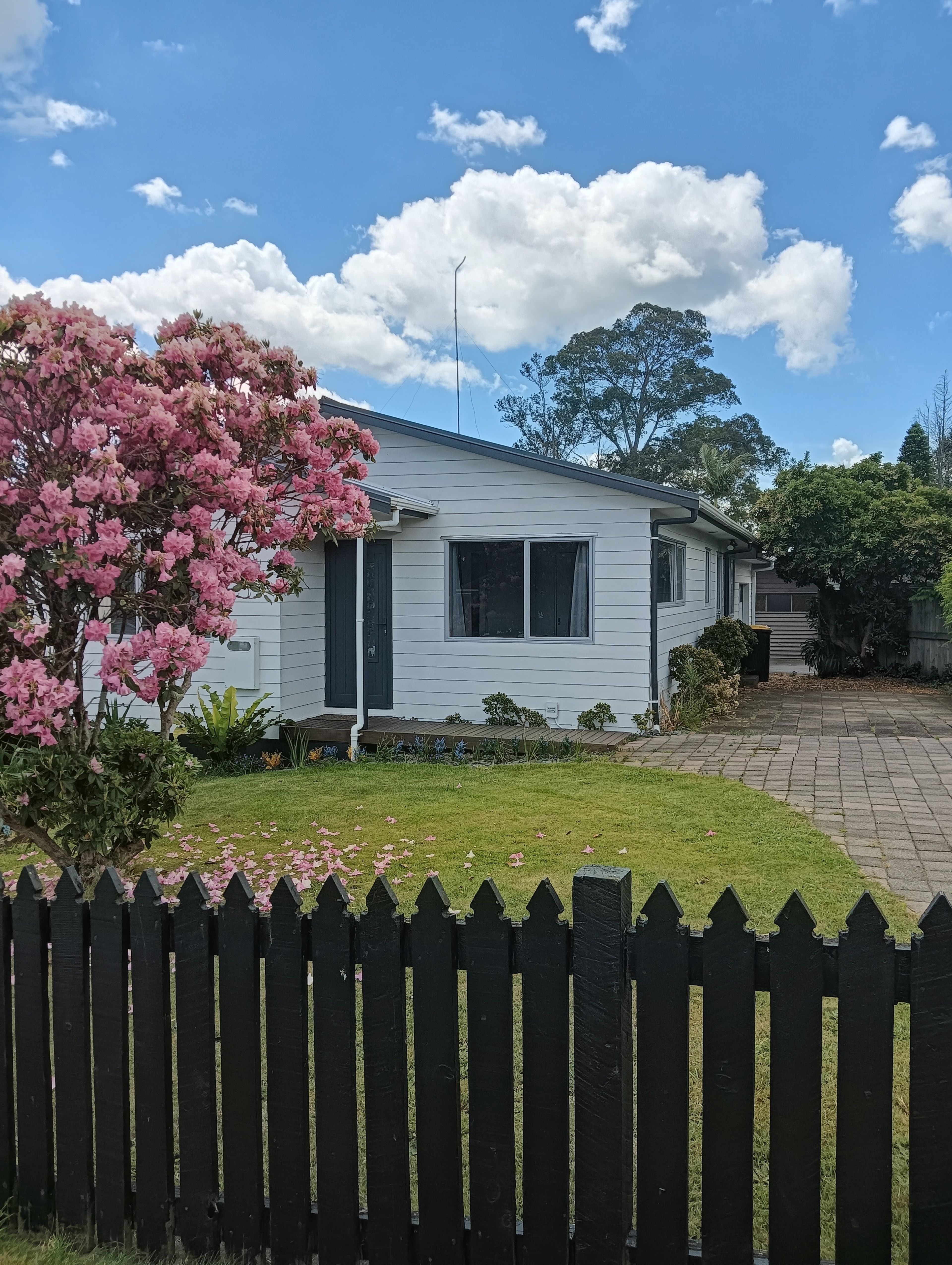 6A Baycroft Avenue, Parkvale, Tauranga, Bay of Plenty | Tall Poppy