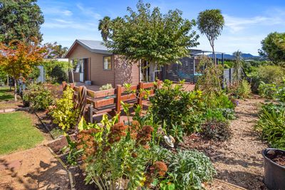 42 Chelmsford Street, Tahawai, Western Bay Of Plenty, Bay of Plenty | Tall Poppy 