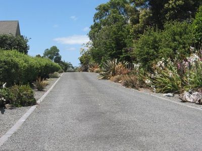 370 Tuapiro Road RD3, Katikati, Western Bay Of Plenty, Bay of Plenty | Tall Poppy 
