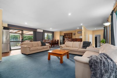143 Youngson Road, Whakamarama, Western Bay Of Plenty, Bay of Plenty | Tall Poppy 