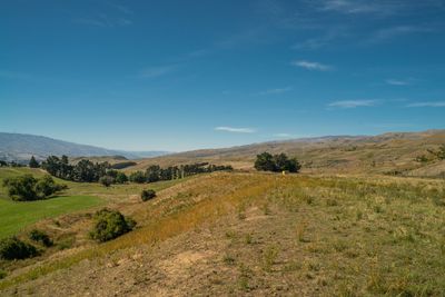 295 Hawksburn Road, Nevis, Central Otago, Otago | Tall Poppy 