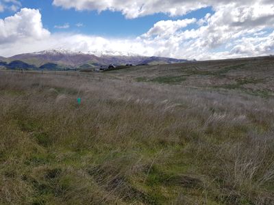 Lot 1 133 Nelson Ridge Road, Alexandra, Central Otago, Otago | Tall Poppy 