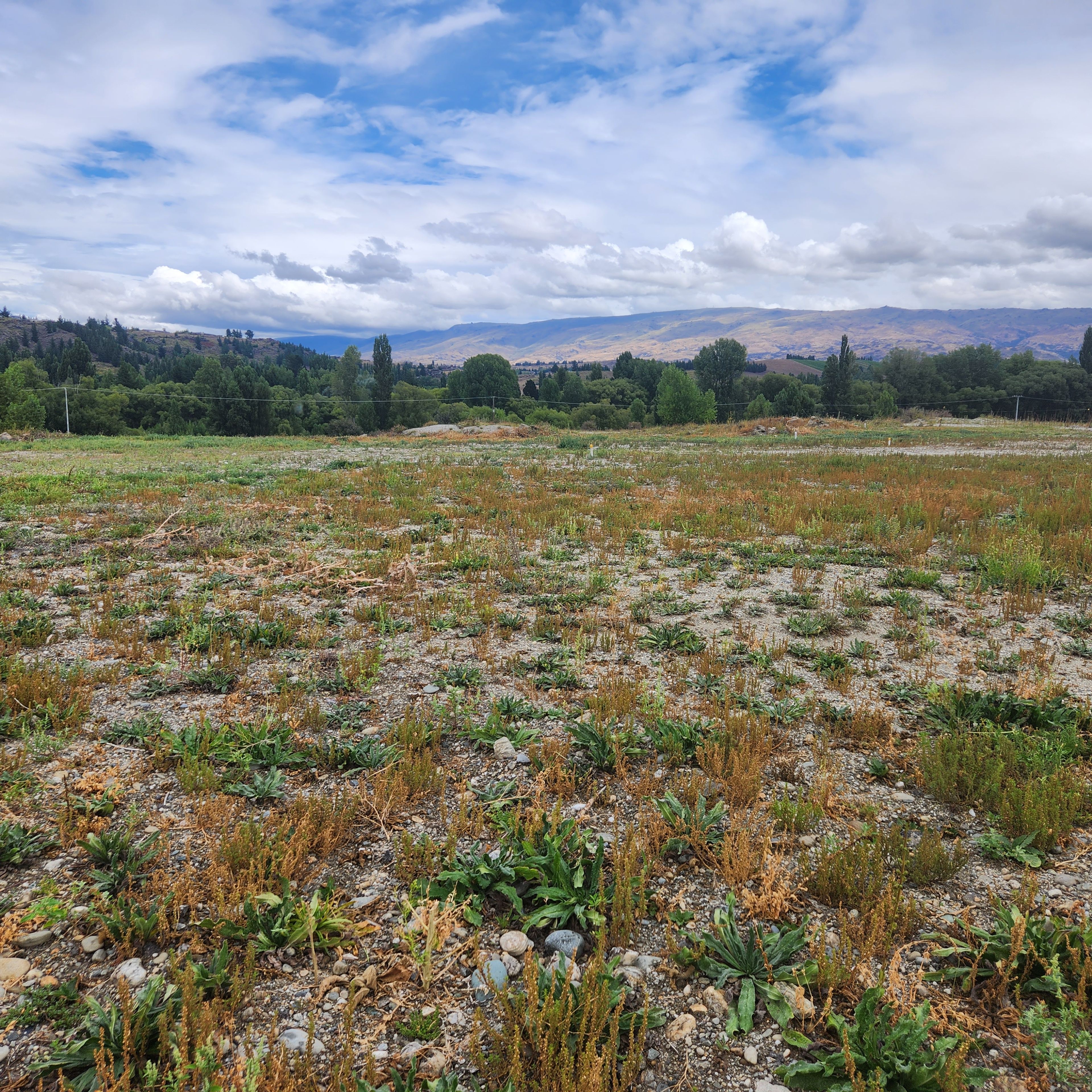 Lot 2 Theyers Street, Alexandra, Central Otago, Otago | Tall Poppy