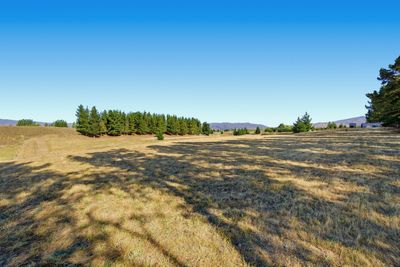 Lot 2 456 Springvale Road, Springvale, Central Otago, Otago | Tall Poppy 
