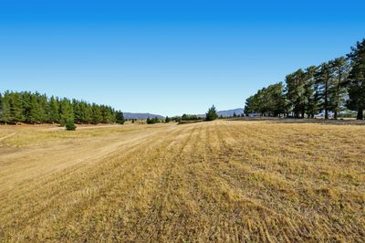 Lot 2 456 Springvale Road, Springvale, Central Otago, Otago | Tall Poppy 