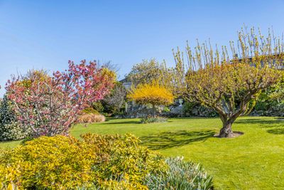 10 Old Bridge Road, Bridge Hill, Central Otago, Otago | Tall Poppy 