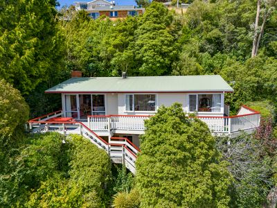 43 Falcon Street, Kaikorai, Dunedin City, Otago | Tall Poppy 