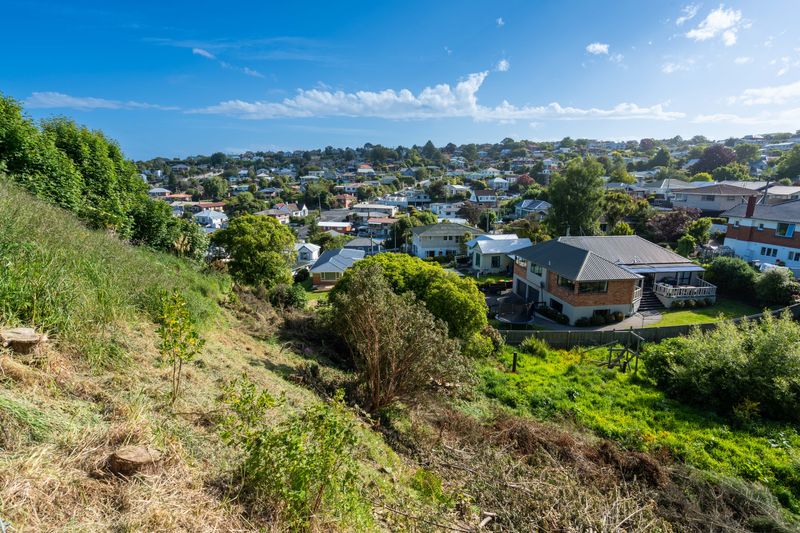 16 Aitken Place, Mornington, Dunedin City