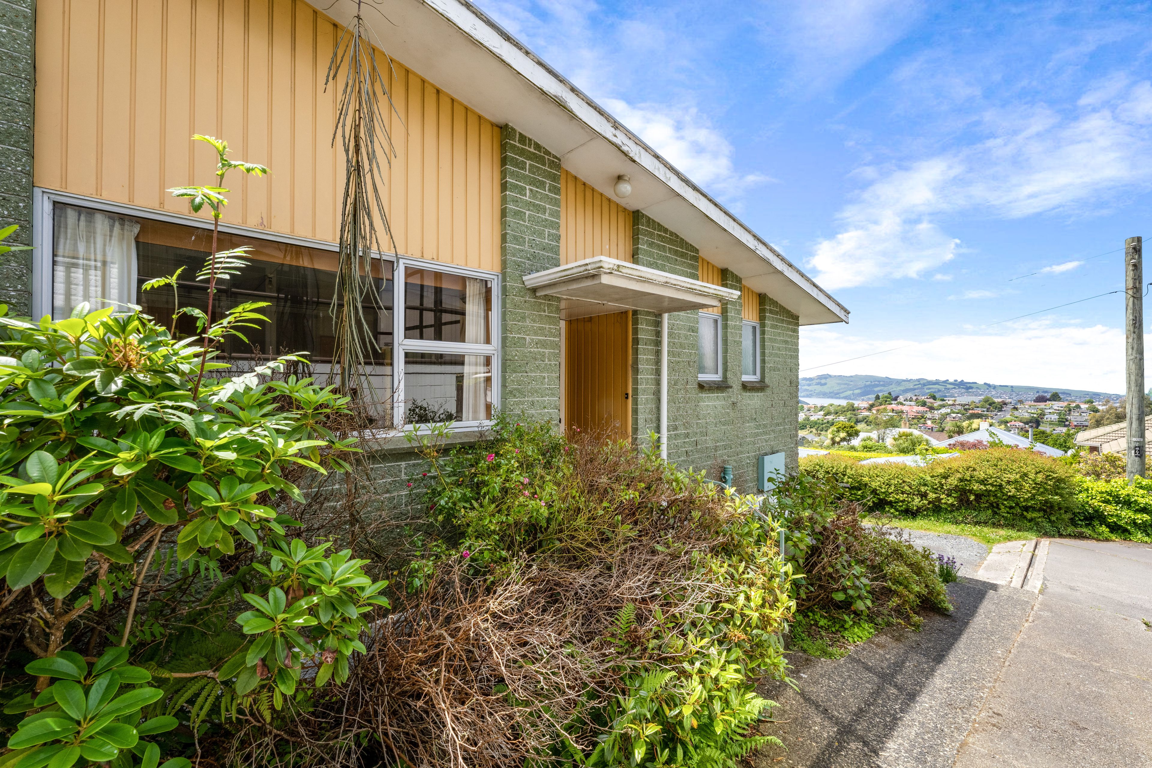 101A Shetland Street, Wakari, Dunedin City, Otago | Tall Poppy