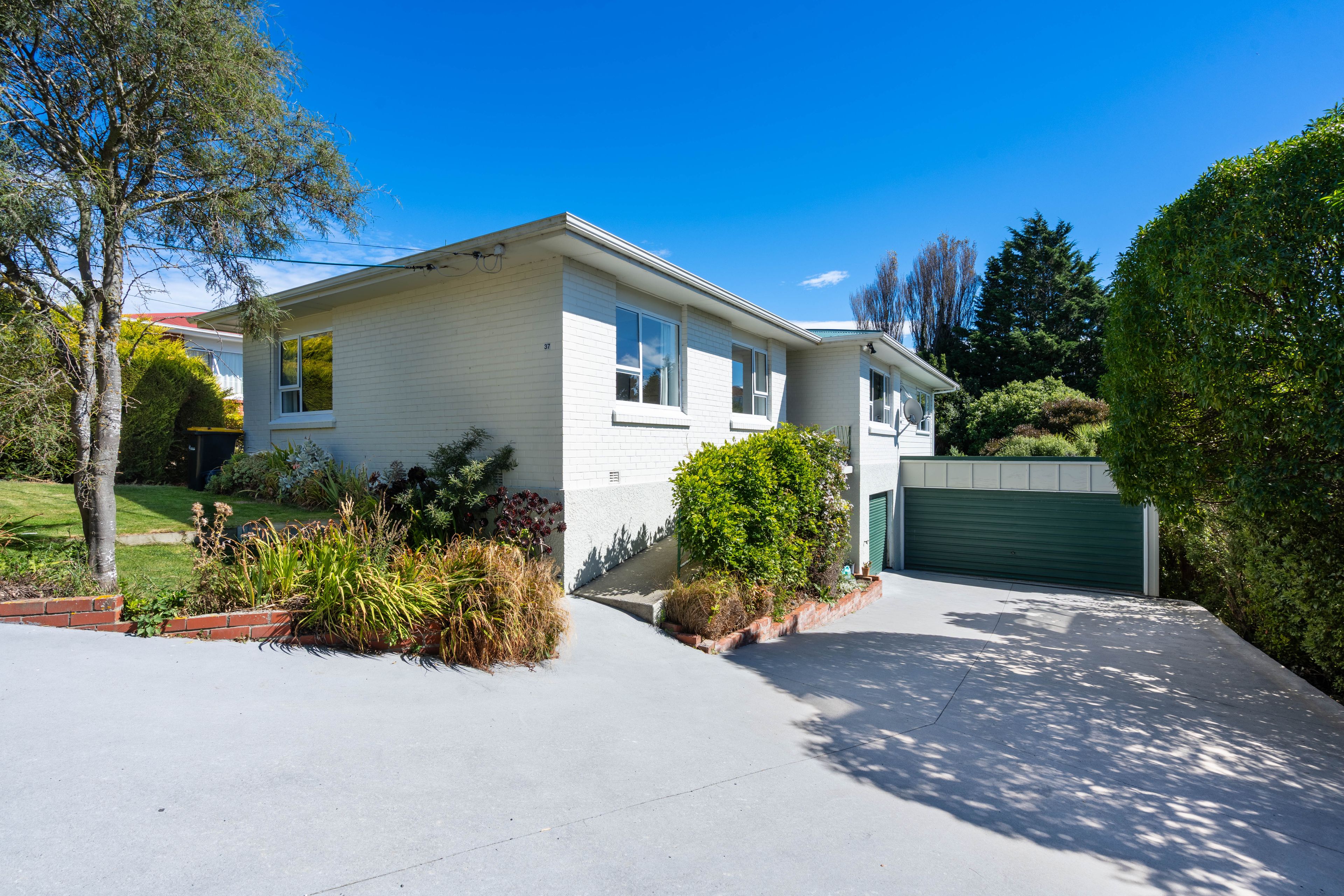 37 Duckworth Street, Andersons Bay, Dunedin City, Otago | Tall Poppy