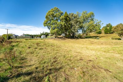 717 East Taieri-Allanton Road, Allanton, Dunedin City, Otago | Tall Poppy 