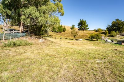 717 East Taieri-Allanton Road, Allanton, Dunedin City, Otago | Tall Poppy 