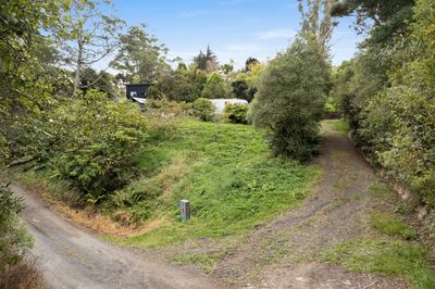 7 Chelivode Street, Waitati, Dunedin City, Otago | Tall Poppy 