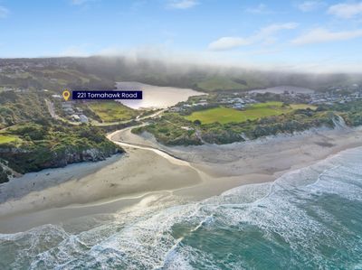 221 Tomahawk Road, Andersons Bay, Dunedin City, Otago | Tall Poppy 