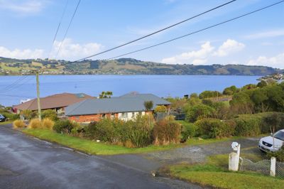 3A Weka Street, Saint Leonards, Dunedin City, Otago | Tall Poppy 