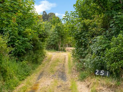 251 Coast Road, Warrington, Dunedin City, Otago | Tall Poppy 