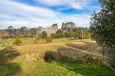 1830 Waikouaiti-Waitati Road, Waitati, Dunedin City, Otago | Tall Poppy 