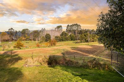 1830 Waikouaiti-Waitati Road, Waitati, Dunedin City, Otago | Tall Poppy 