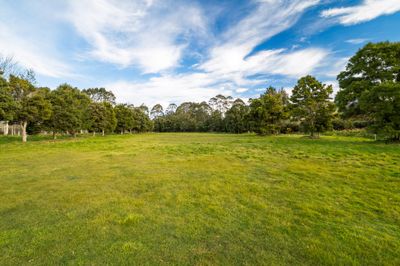1830 Waikouaiti-Waitati Road, Waitati, Dunedin City, Otago | Tall Poppy 