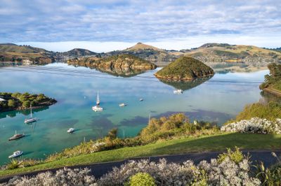 34 Island Terrace, Port Chalmers, Dunedin City, Otago | Tall Poppy 