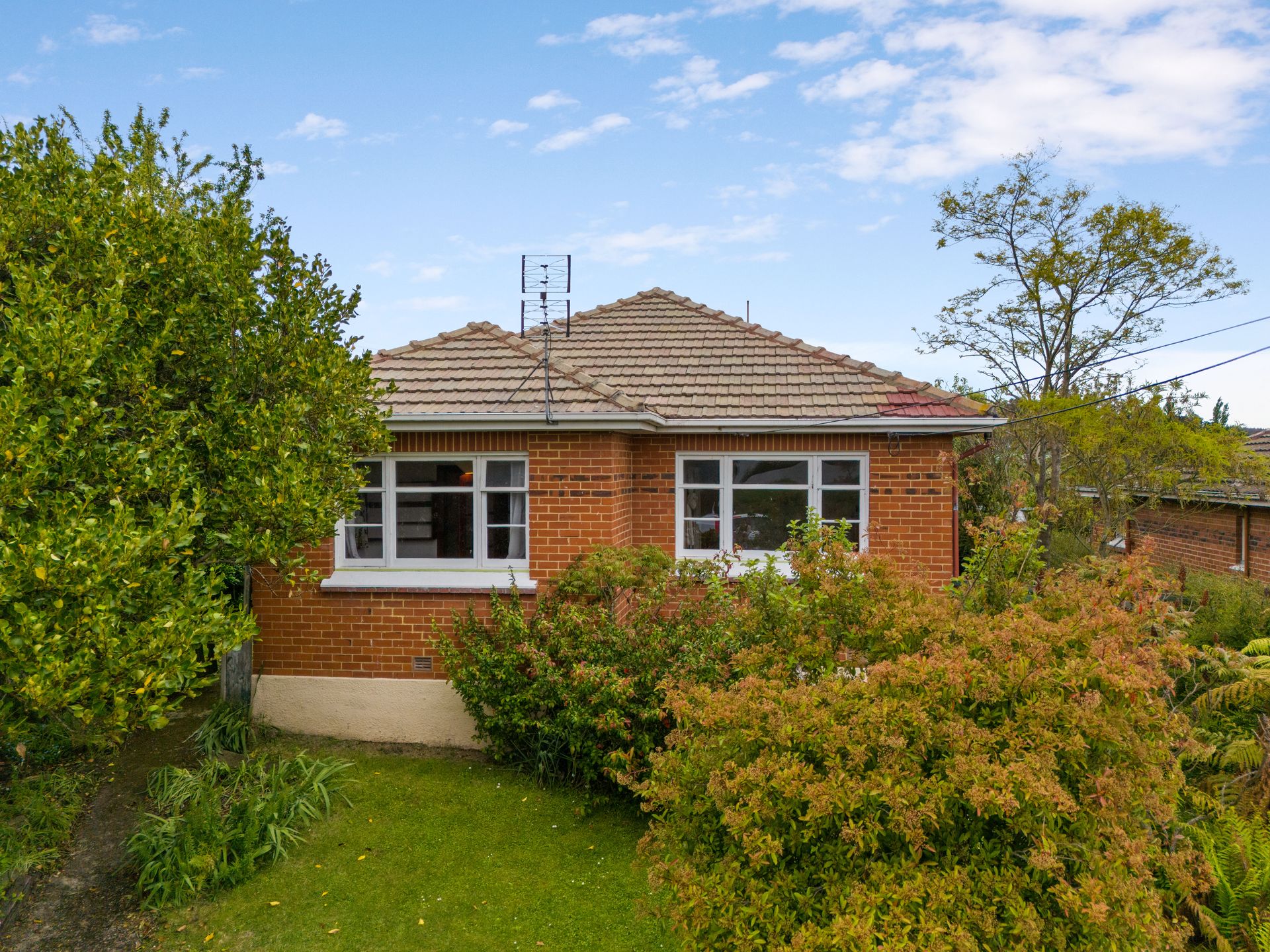 11 Mulford Street, Concord, Dunedin City, Otago | Tall Poppy