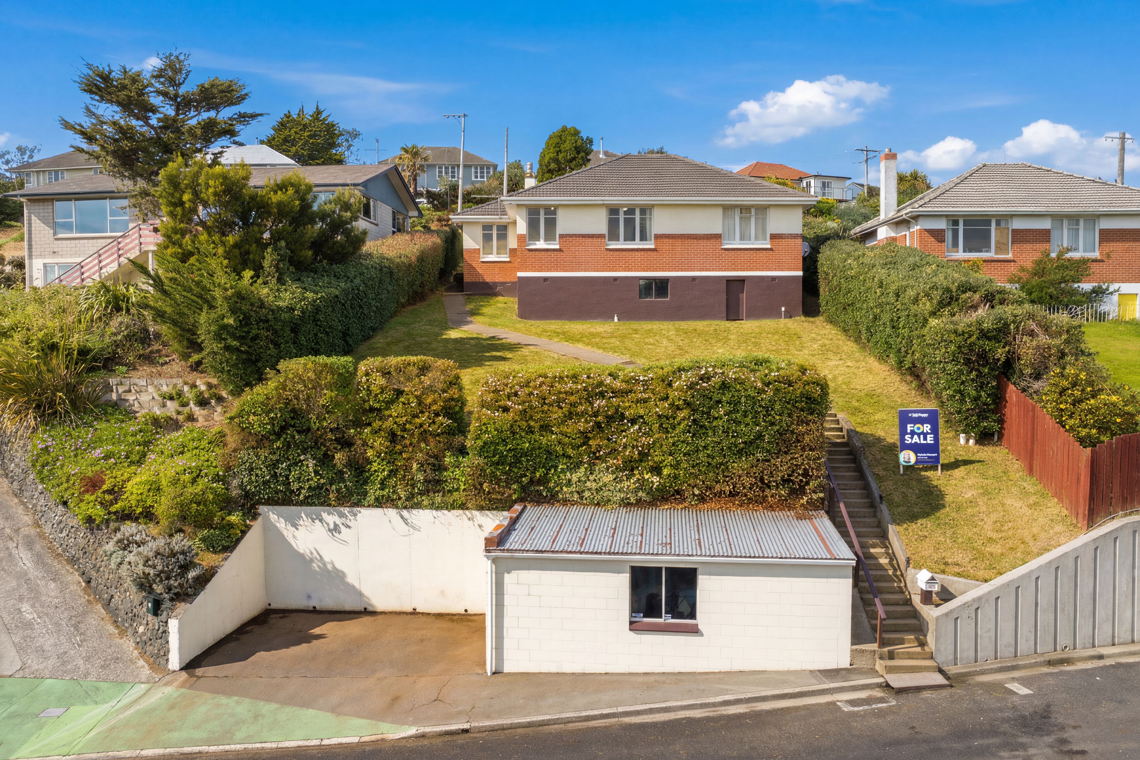 559 South Road, Calton Hill, Dunedin City, Otago | Tall Poppy