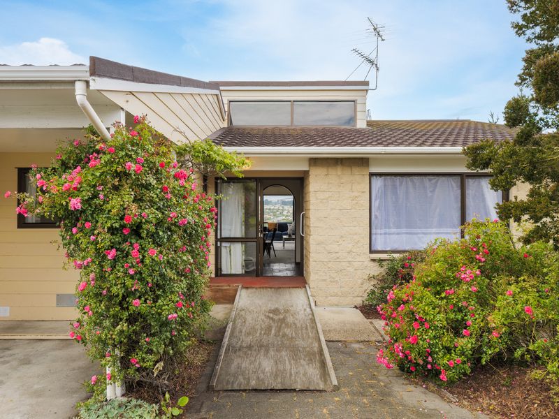 2C Renfrew Street, Balaclava, Dunedin City, Otago Tall Poppy property