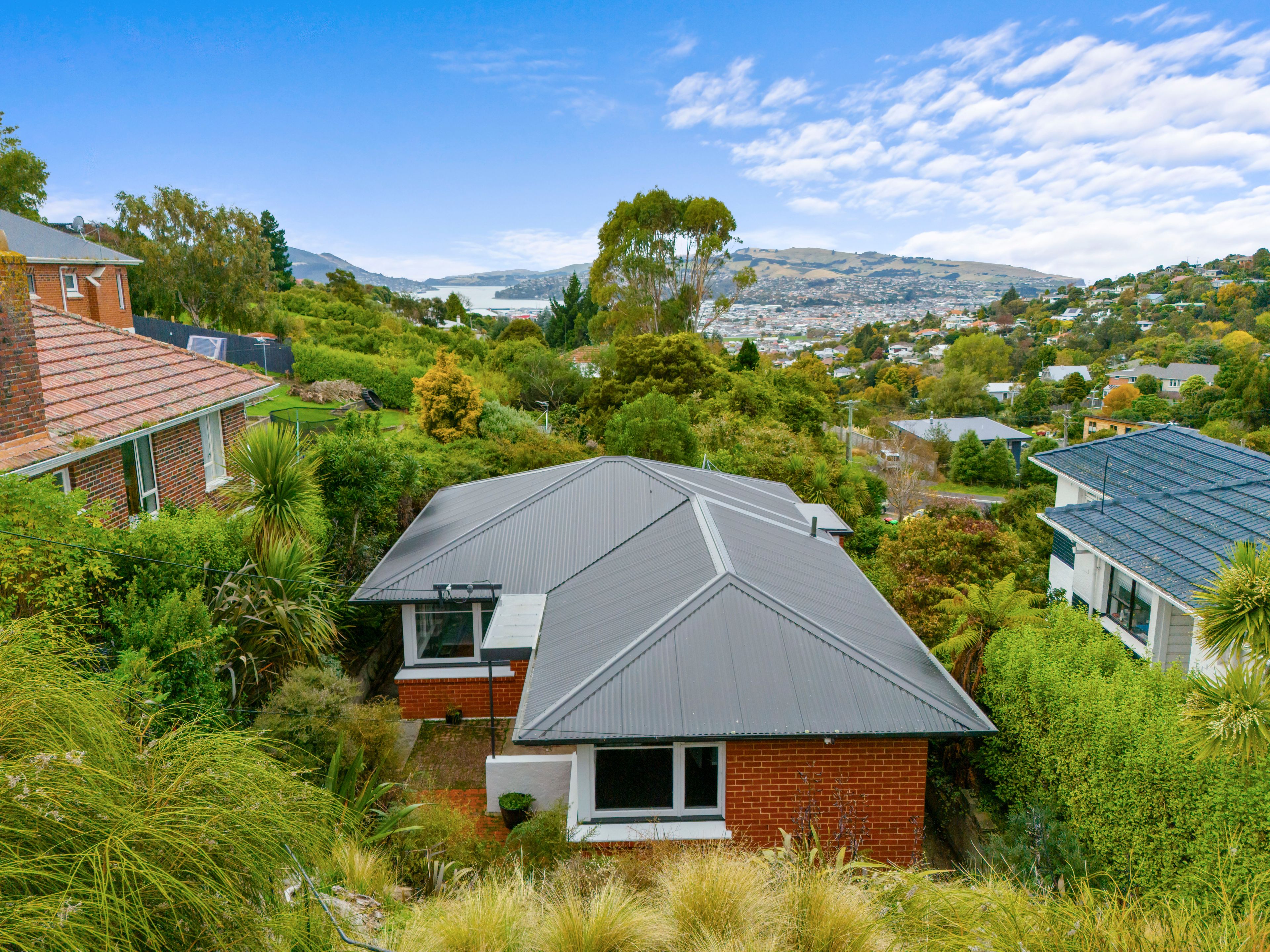 113 Riselaw Road, Calton Hill, Dunedin City, Otago | Tall Poppy