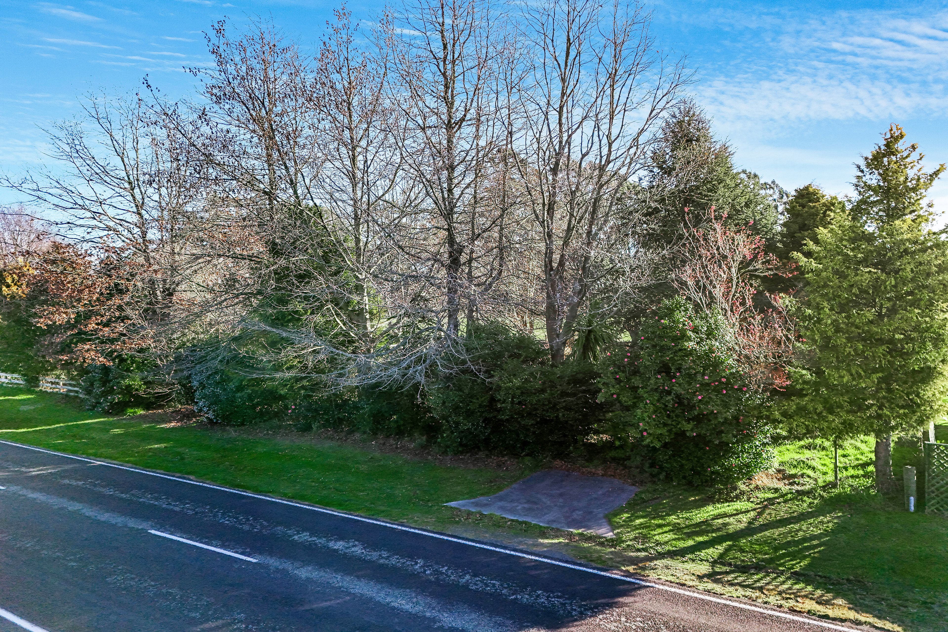 29 Manfield Street, Tokoroa, South Waikato, Waikato | Tall Poppy