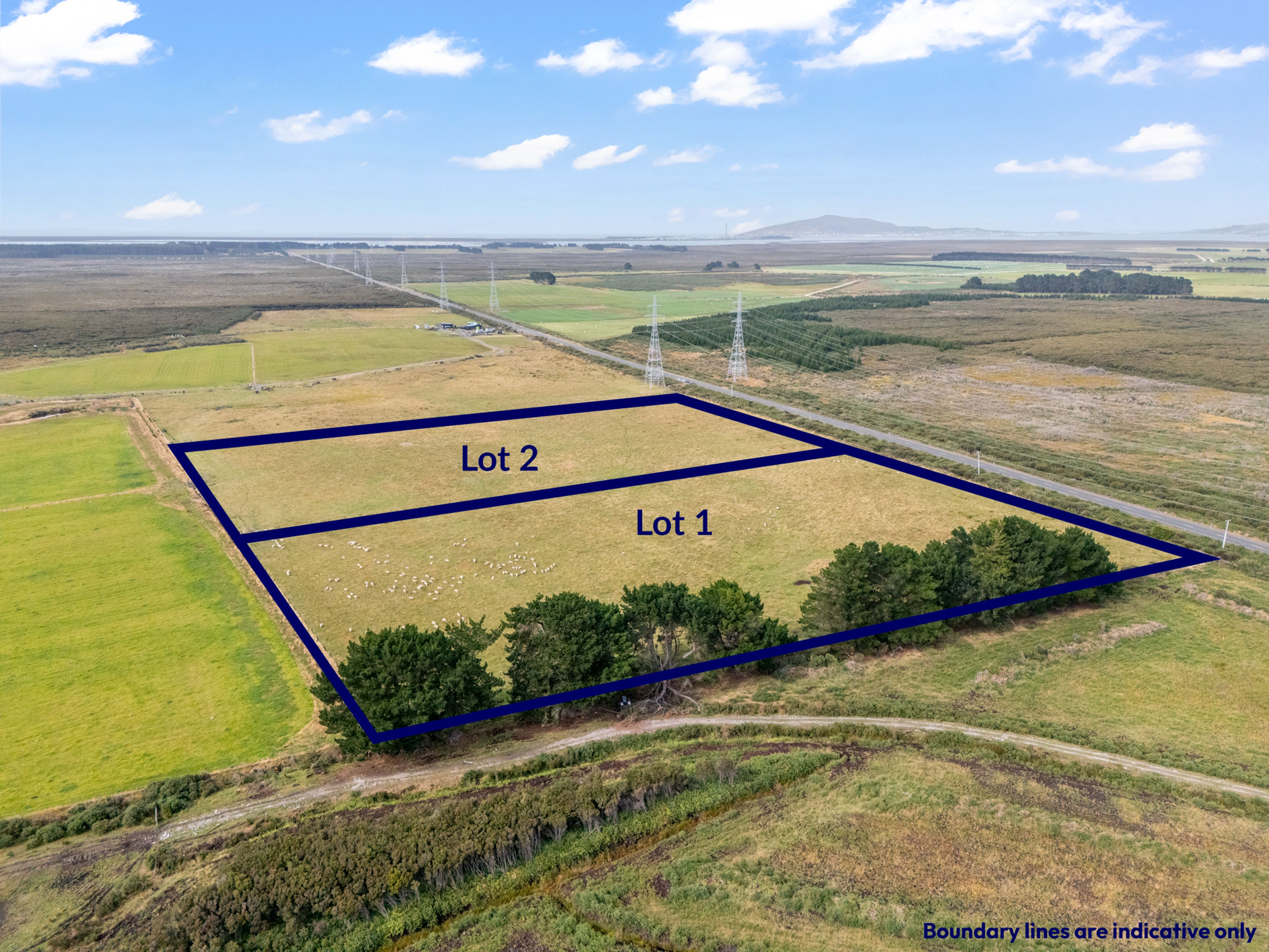 557 Tiwai Road, Invercargill, Invercargill City, Southland | Tall Poppy