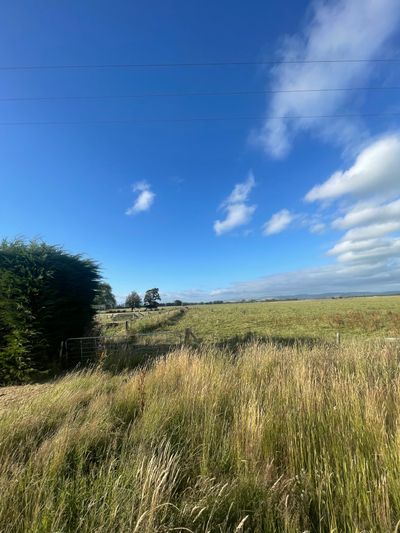 369 Shaws Trees Road, Heddon Bush, Southland | Tall Poppy 