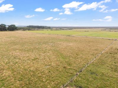559 Tiwai Road, Invercargill, Invercargill City, Southland | Tall Poppy 