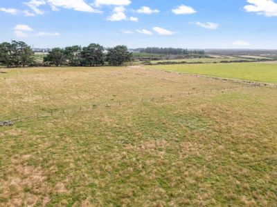 559 Tiwai Road, Invercargill, Invercargill City, Southland | Tall Poppy 