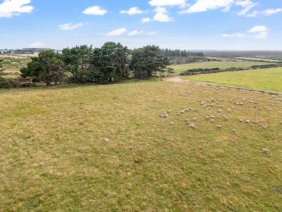 559 Tiwai Road, Invercargill, Invercargill City, Southland | Tall Poppy 
