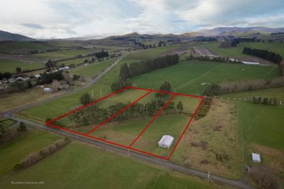 2 Stanley Street, Wairio, Southland | Tall Poppy 