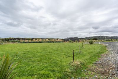 22 Ara Pahu Bay, Curio Bay, Southland | Tall Poppy 