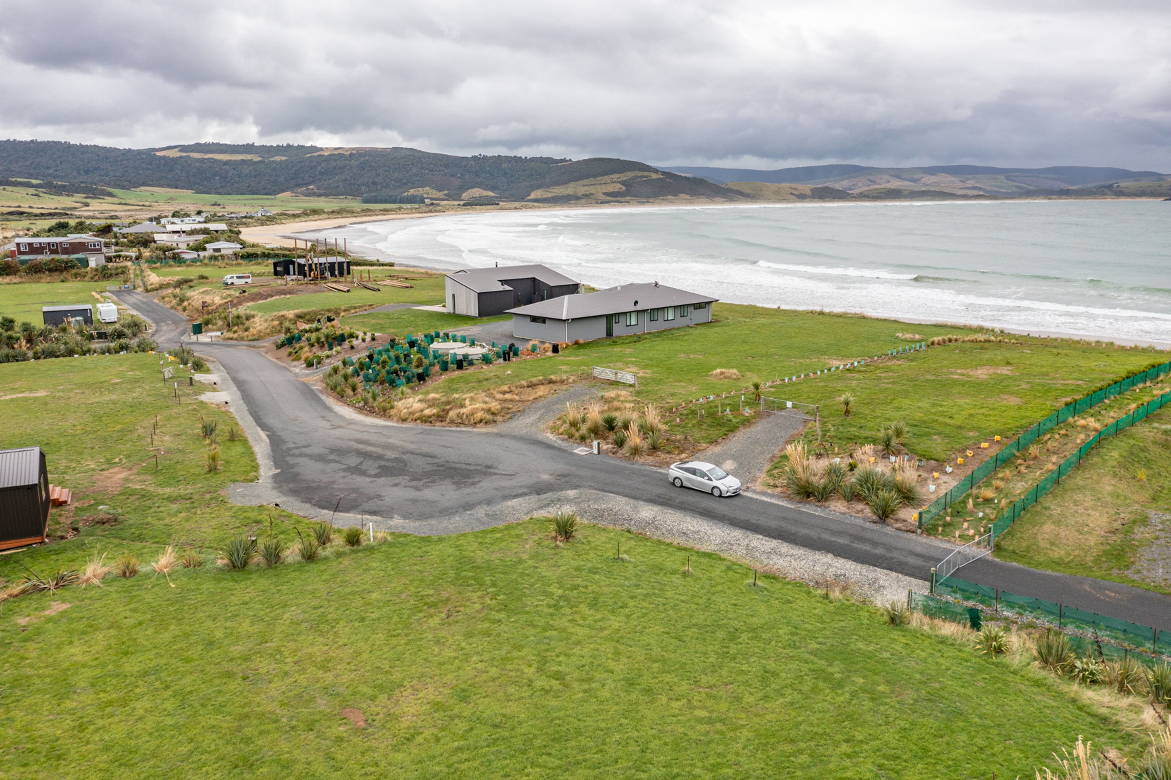 22 Ara Pahu Bay, Curio Bay, Southland | Tall Poppy