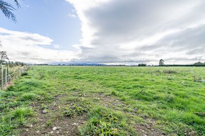369 Shaws Trees Road, Heddon Bush, Southland | Tall Poppy 