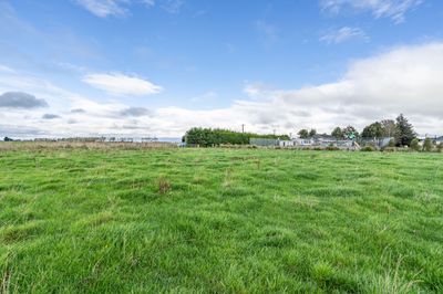 369 Shaws Trees Road, Heddon Bush, Southland | Tall Poppy 