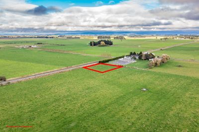 369 Shaws Trees Road, Heddon Bush, Southland | Tall Poppy 