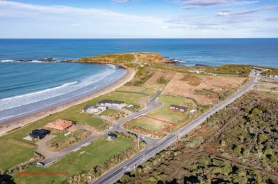 16 Ara Pahu, Curio Bay, Southland | Tall Poppy 