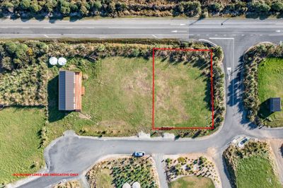 16 Ara Pahu, Curio Bay, Southland | Tall Poppy 