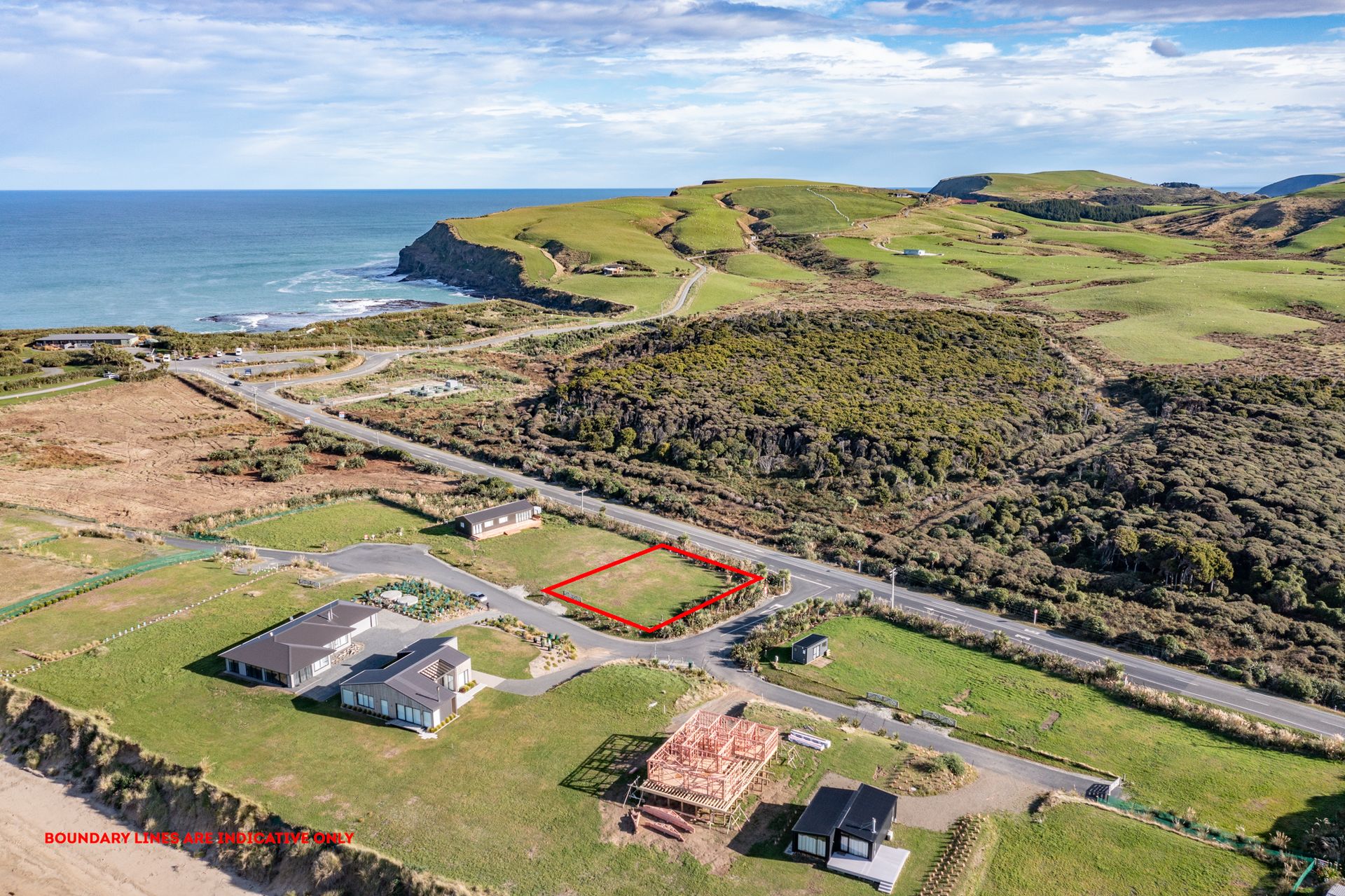 16 Ara Pahu, Curio Bay, Southland | Tall Poppy