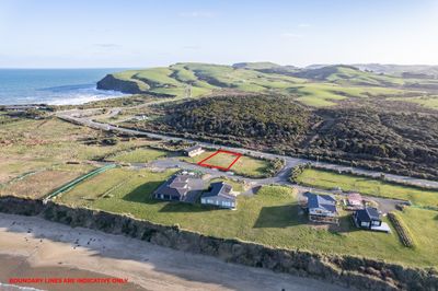 18 Ara Pahu, Curio Bay, Southland | Tall Poppy 