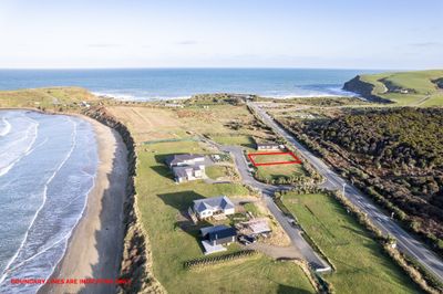 18 Ara Pahu, Curio Bay, Southland | Tall Poppy 
